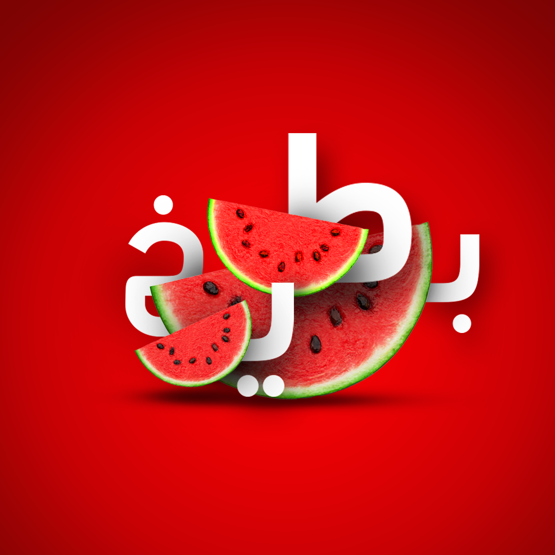 صورة المشروع