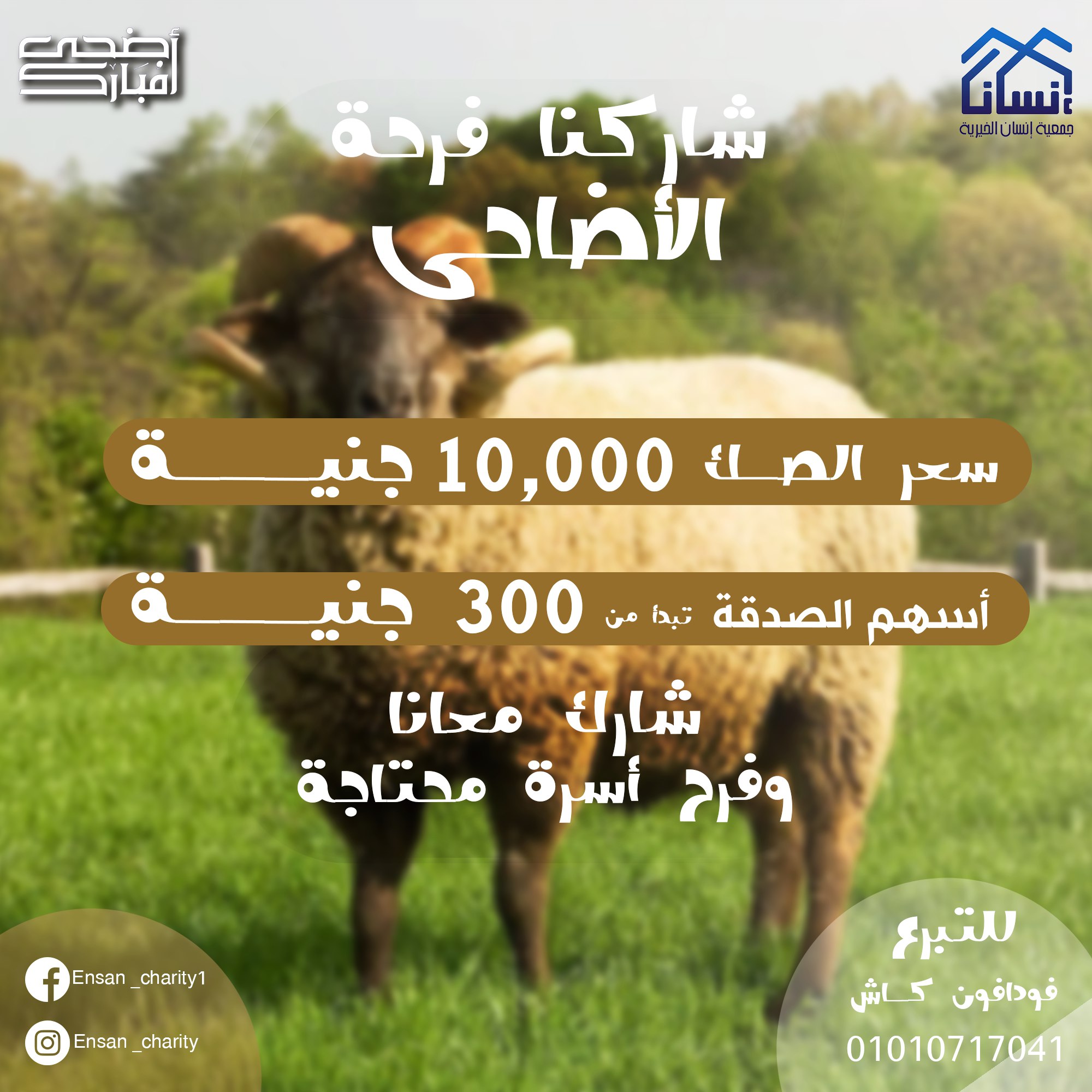 صورة المشروع