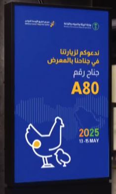 بعض مشاريع طلابنا