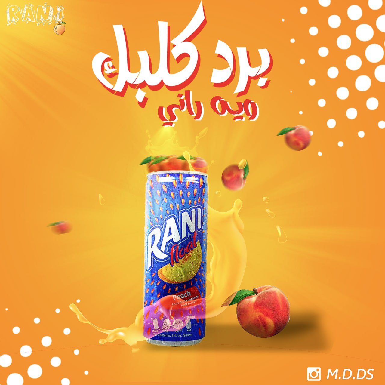 صورة المشروع