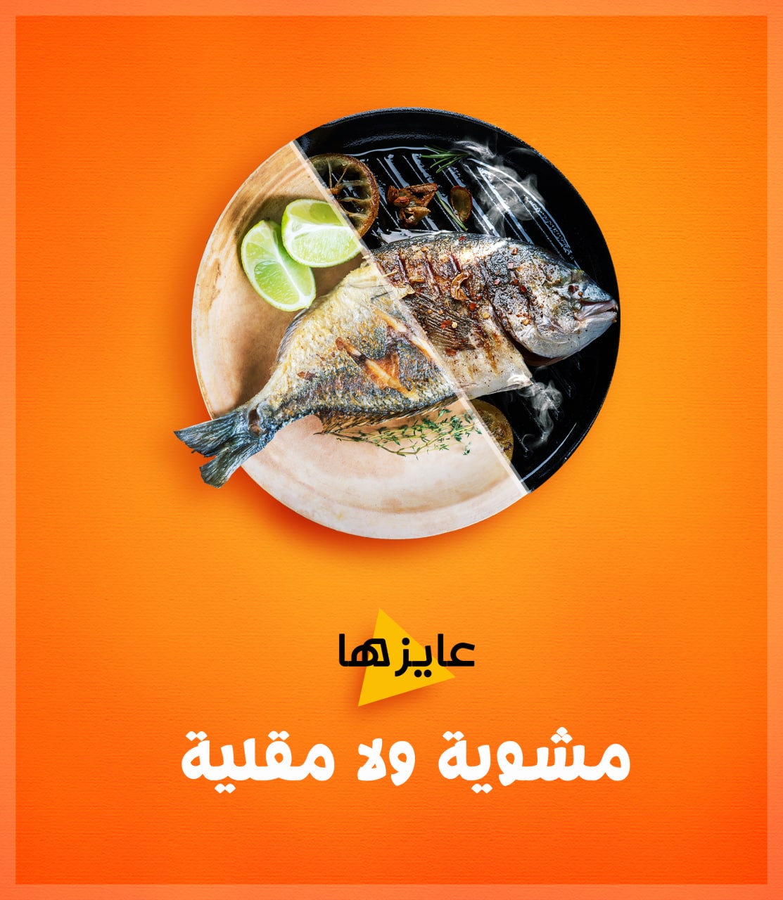 صورة المشروع